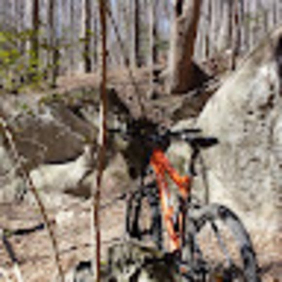 Meet your Posher, Matt - Picture 1 of 1